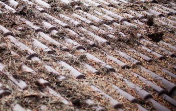 Screveton roof cleaning companies